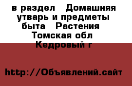  в раздел : Домашняя утварь и предметы быта » Растения . Томская обл.,Кедровый г.